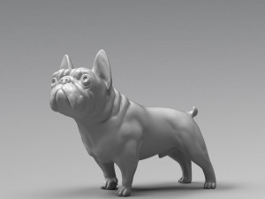 french bulldog 3d print model Modello di stampa 3D