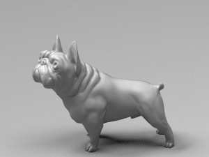 french bulldog 3d print model Modello di stampa 3D