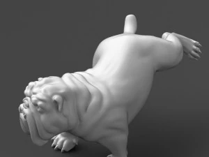 pissing english bulldog 3d print model 3D Print Model