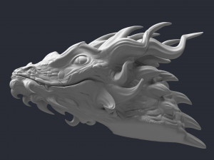 dragon head 3d print model 3D 打印模型