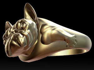 english bulldog ring stl for 3d printer 3D प्रिंट मॉडल