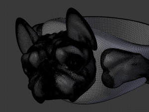 english bulldog ring stl for 3d printer 3D प्रिंट मॉडल