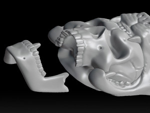 wolf head with human skull wall decoration 3d print model 3Dプリントモデル