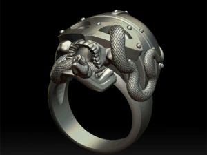 viking skull ring 3d print model 3D Print Model