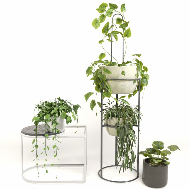 indoor plants 3D Модель .c4d .max .obj .3ds .fbx .stl .blend 