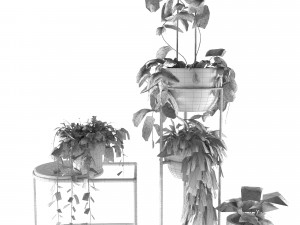 indoor plants 3D Модель