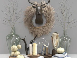 декоративные растения 2 3D Модель