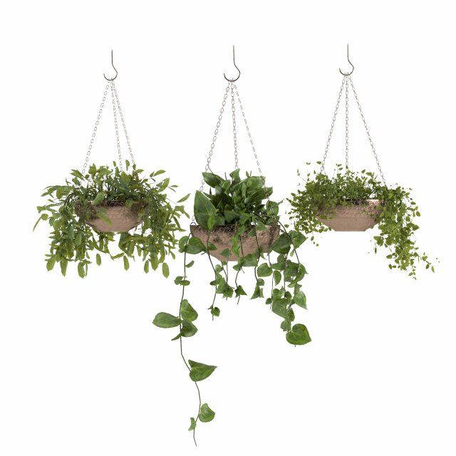 indoor plants 1 3D 模型 .c4d .max .obj .3ds .fbx .stl .blend