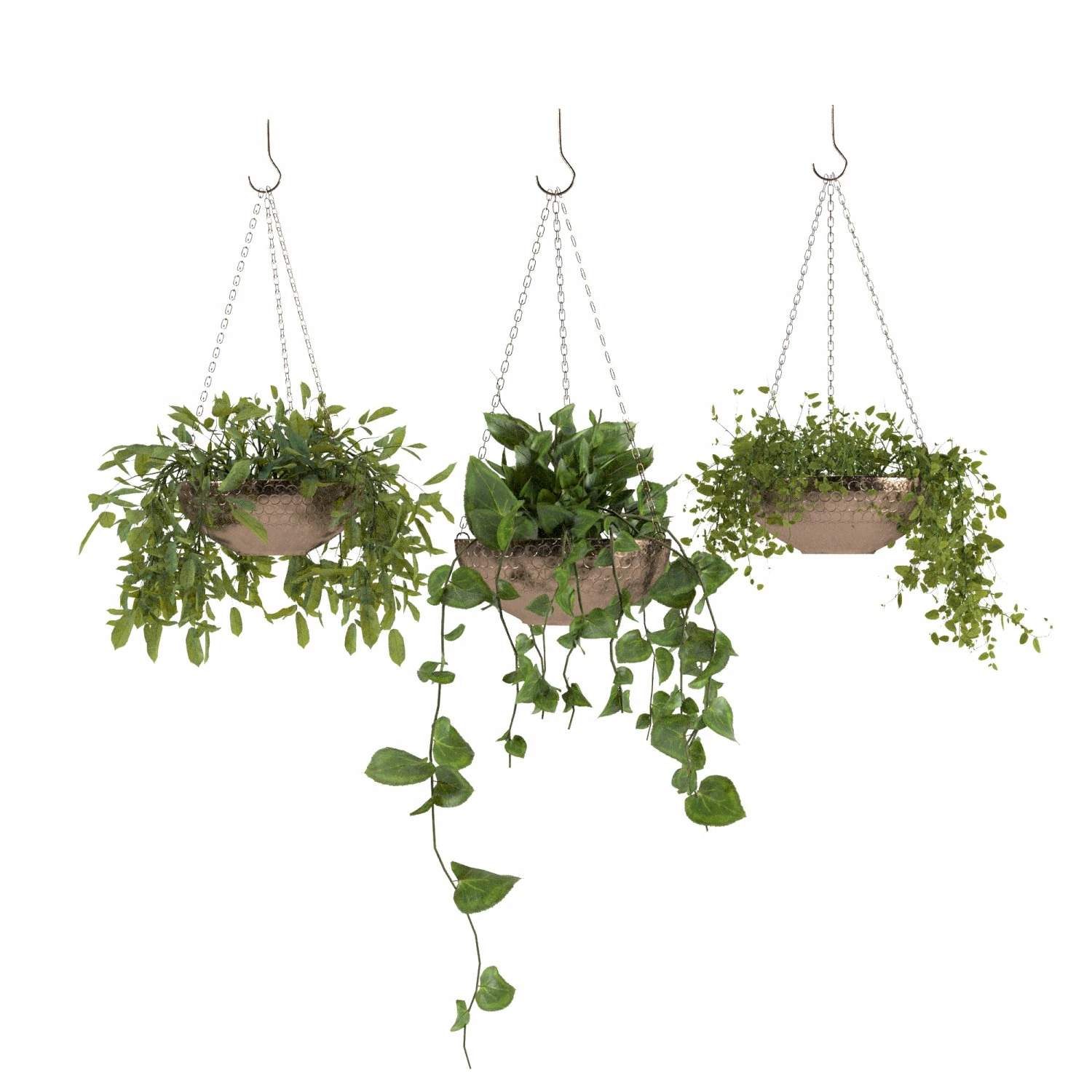 indoor plants 1 3D Model .c4d .max .obj .3ds .fbx .stl .blend 