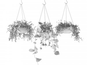 indoor plants 1 3D 模型
