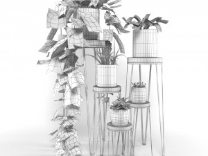 indoor plants 2 3D Model