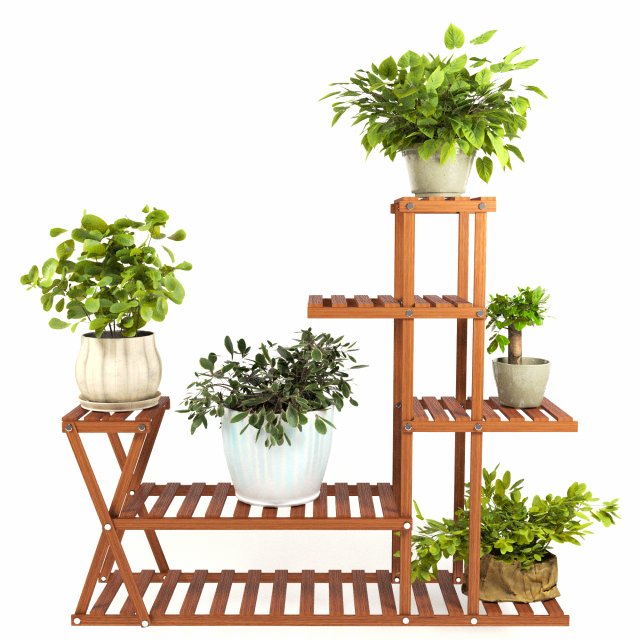 indoor plants 4 Modèle 3D .c4d .max .obj .3ds .fbx .stl .blend 