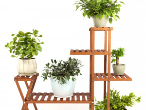 Zimmerpflanzen 4 3D Modell