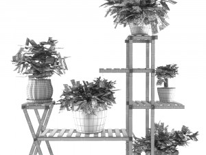 indoor plants 4 Modèle 3D