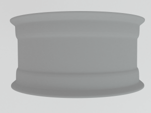 rim Model 3D