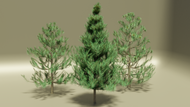 pine 3D Модель .c4d .max .obj .3ds .fbx .stl .blend 