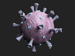 covid-19 coronavirus 3D Model