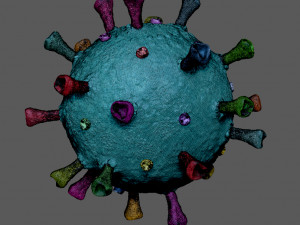 covid-19 coronavirus Modello 3D