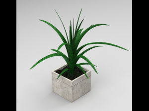 Flower in the Flowerbed 3D Model