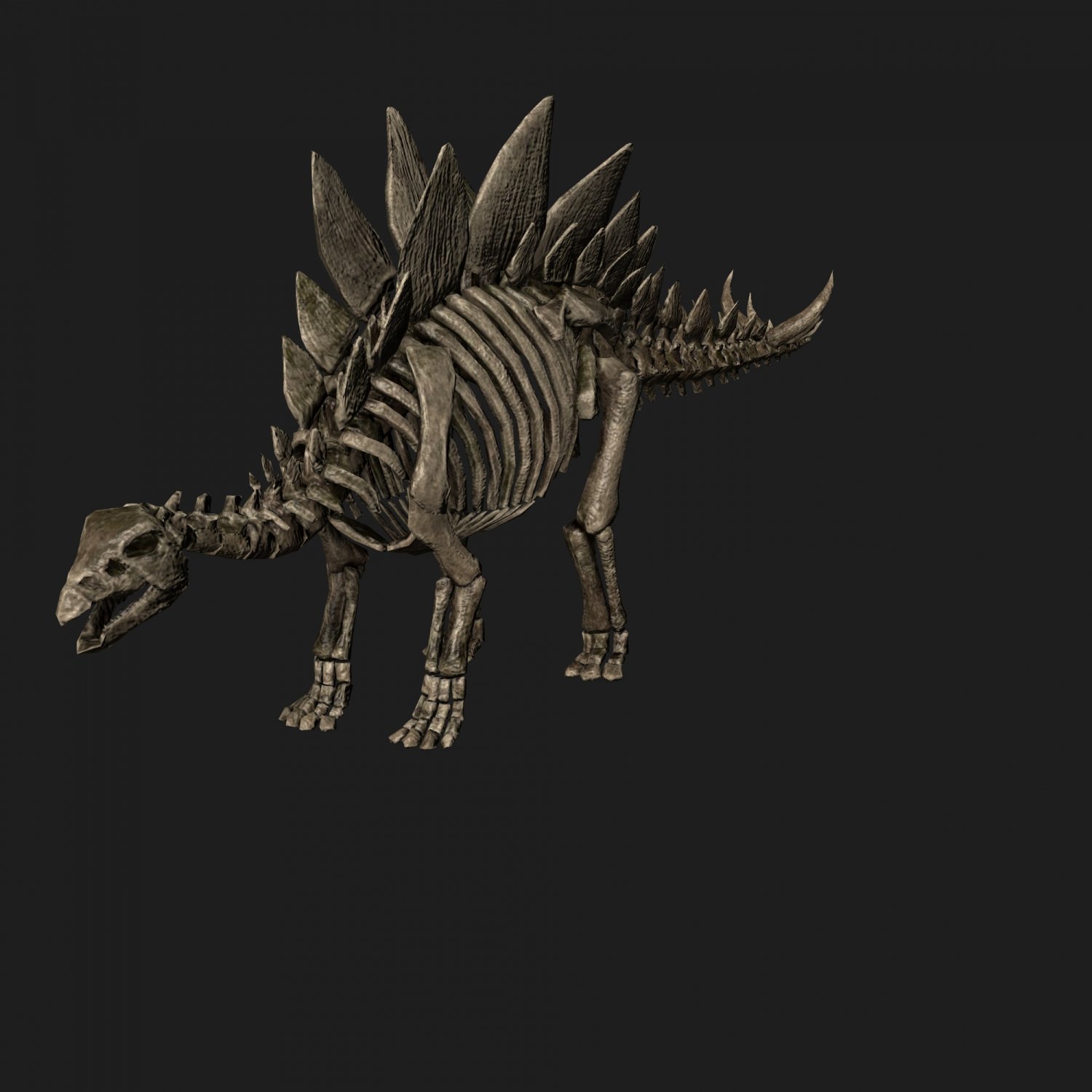 Rigged Stegosaurus Skeleton 3d Model In Dinosaur 3dexport