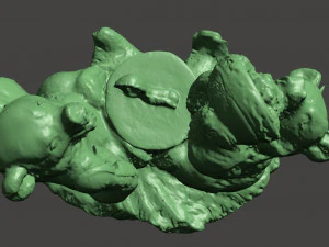 offended bear 3D Model