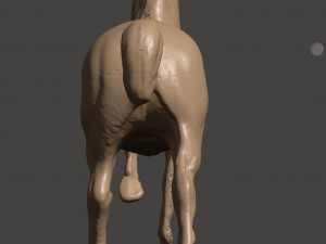 antique bronze horse 3D Model