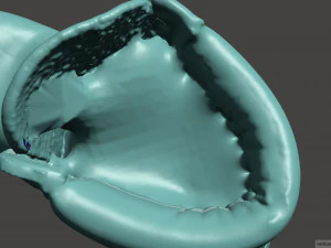 sepatu bot hutan klasik Model 3D