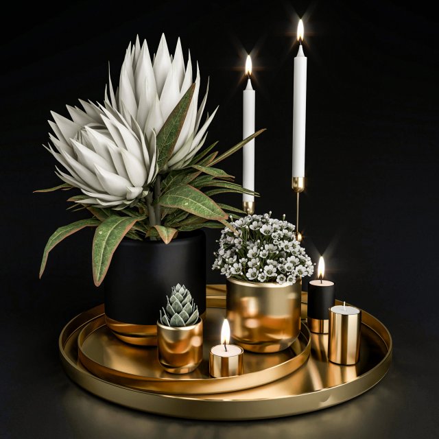 decorative set with plants in pots 3D Model .c4d .max .obj .3ds .fbx .stl .blend