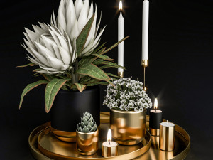 decorative set with plants in pots 3D Модель