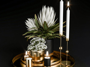 decorative set with plants in pots 3D Model