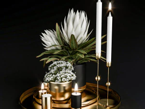 decorative set with plants in pots 3D Model