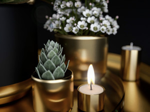 decorative set with plants in pots 3D Model