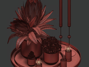 decorative set with plants in pots 3D Model