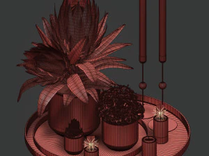decorative set with plants in pots 3D Model