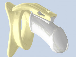 khd q4he chastity tube length 085mm circumference 070mm Modelo de Impressão 3D