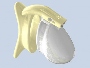 khd q4he chastity tube length 075mm circumference 125mm 3D प्रिंट मॉडल