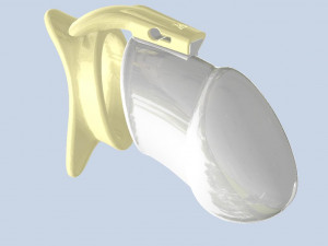 khd q4he chastity tube length 110mm circumference 150mm 3D प्रिंट मॉडल