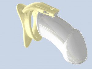 khd q4he chastity tube length 125mm circumference 125mm 3D 打印模型