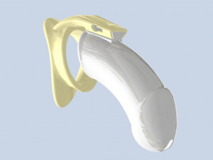 khd q4he chastity tube length 140mm circumference 110mm 3D Принт Модель