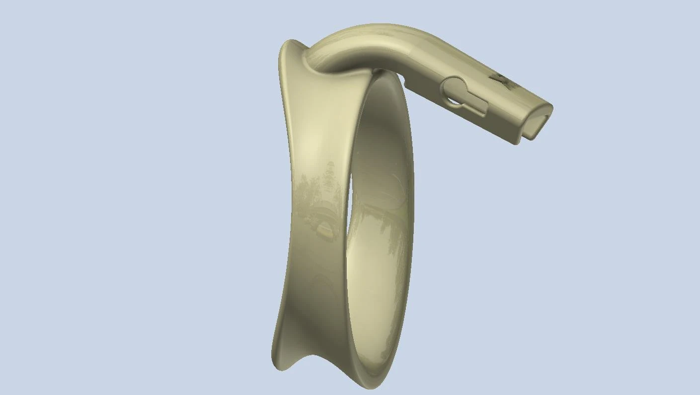 khd q4he chastity ring 60mm 3D Print Model .c4d .max .obj .3ds .fbx .stl .blend
