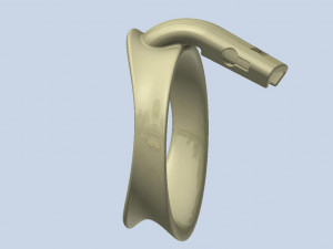 khd q4he chastity ring 64mm 3D प्रिंट मॉडल