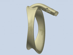 khd q4he chastity ring 76mm Modelo de impresión 3D