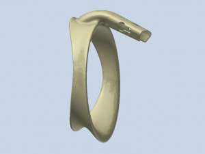 khd q4he chastity ring 80mm 3D प्रिंट मॉडल