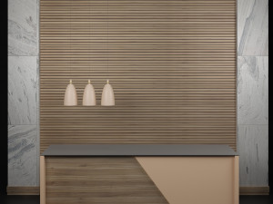 reception g30 3D Model