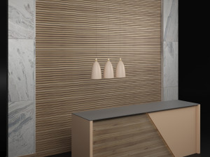 reception g30 3D Model