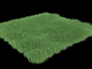 realistic lawn grass for your projects 3D Модель