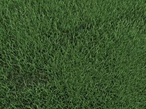 realistic lawn grass for your projects 3D Модель