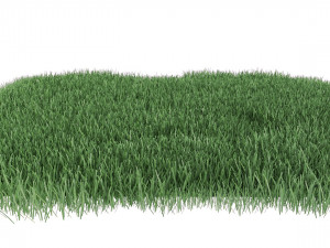 realistic lawn grass for your projects 3D Модель