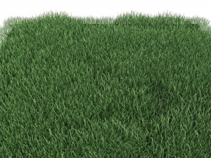 realistic lawn grass for your projects 3D Модель