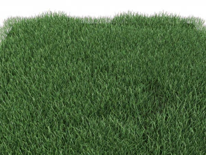 realistic lawn grass for your projects 3D Model